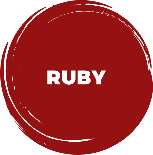 Accelerate-Sponsor-Icons-Rubyv2